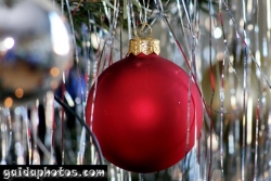 Weihnachtsbilder - Tannenbaum Deko