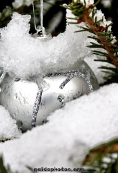 Weihnachtsbilder - Tannenbaum Deko